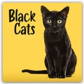 Cover: Black Cats - Schwarze Katzen 2027 - Wand-Kalender - Brown Trout-Auslieferer Flechsig