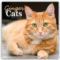 Cover: Ginger Cats - Rothaarige Katzen 2027 - Wand-Kalender - Brown Trout-Auslieferer Flechsig