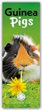 Cover: Guniea Pigs - Meerschweinchen 2027 - Slimline-Kalender - Brown Trout-Auslieferer Flechsig