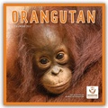 Cover: Orangutan - Orang-Utan 2027 - Wand-Kalender - Brown Trout-Auslieferer Flechsig