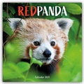 Cover: Red Panda - Rote Pandas - Rote Pandab&auml;ren 2027 - Wand-Kalender - Brown Trout-Auslieferer Flechsig
