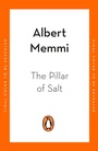 Cover: The Pillar of Salt - Penguin Books Ltd