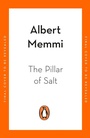 Cover: The Pillar of Salt - Penguin Books Ltd