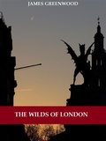 Cover: The Wilds of London (Illustrated) - Bauer Books