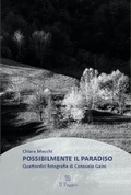 Cover: Possibilmente il paradiso - Edizioni Il Faggio di Franco Ambrosio