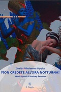 Cover: Non credete all'ora notturna - Edizioni Il Faggio di Franco Ambrosio