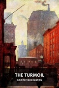 Cover: The Turmoil - Waking Lion Press