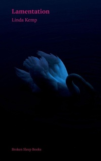 Enlarge image Cover: Lamentation - Broken Sleep Books