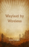 Cover: Waylaid by Wireless - CLXBX