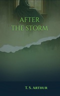 Cover: After the Storm - CLXBX