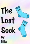 Cover: The Lost Sock - Nila
