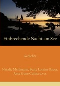 Cover: Einbrechende Nacht am See - BoD - Books on Demand