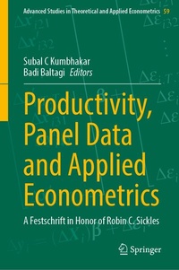 Enlarge image Cover: Productivity, Panel Data and Applied Econometrics - Springer