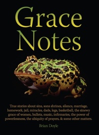 Enlarge image Cover: Grace Notes - ACTA Publications