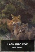 Cover: Lady Into Fox - Waking Lion Press