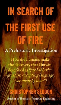 Enlarge image Cover: In Search of the First Use of Fire - Christopher Seddon