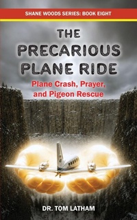 Enlarge image Cover: The Precarious Plane Ride - Dynotech Publishing