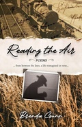 Cover: Reading the Air - Wild Skies Press