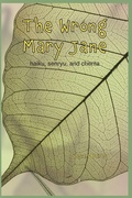 Cover: The Wrong Mary Jane - Independently Published