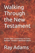 Cover: Walking Through the New Testament - Walking Through the New Testament