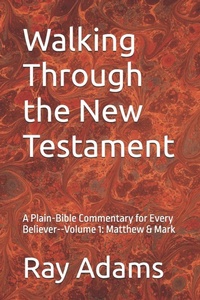 Enlarge image Cover: Walking Through the New Testament - Walking Through the New Testament