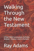 Cover: Walking Through the New Testament - Walking Through the New Testament