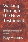 Cover: Walking Through the New Testament - Walking Through the New Testament