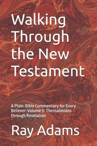 Enlarge image Cover: Walking Through the New Testament - Walking Through the New Testament