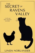 Cover: The Secret of Ravens Valley - LEVEL BEST BOOKS