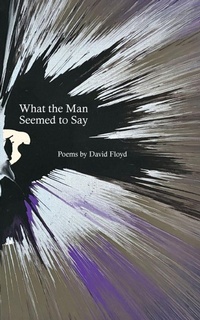 Enlarge image Cover: What the Man Seemed to Say - OAC Press