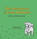 Cover: The Adventures of Luna Baboona - FriesenPress