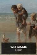 Cover: Wet Magic - Waking Lion Press