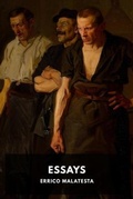 Cover: Essays - Waking Lion Press