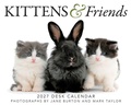 Cover: Kittens & Friends 2027 Boxed Calendar - Carousel Worldwide
