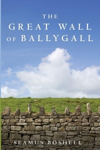 Enlarge image Cover: The Great Wall of Ballygall - Resource Publications
