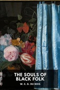 Cover: The Souls of Black Folk - Waking Lion Press