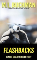 Cover: Flashbacks - Buchman Bookworks, Inc.