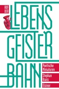 Cover: Auf der Lebensgeisterbahn - Elsinor Verlag