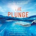 Cover: The Plunge - SIMON & SCHUSTER AUDIO