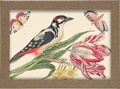 Cover: Smithsonian Birds and Flowers Notecard Set - Smithsonian Books