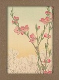 Cover: Smithsonian Cherry Blossom Notecard Set - Smithsonian Books