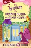 Cover: The Infirmary for Dragon Burns and Midair Mishaps - Boldwood Books Ltd