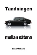 Cover: Taendningen mellan saetena - Prodinnova