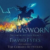 Enlarge image Cover: Stormsworn - Audio Holdings