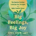 Cover: Big Feelings, Big Joy - HarperCollins
