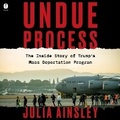 Cover: Undue Process - HarperCollins