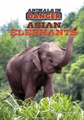Cover: Asian Elephants - Mitchell Lane Publishers