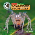 Cover: All about African Long-Legged Sac Spiders - Little Mitchie