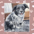 Cover: Zoey, Where do We Go? - Joie Digital Marketing Inc.
