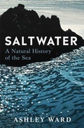 Cover: Saltwater - Bonnier Books Ltd